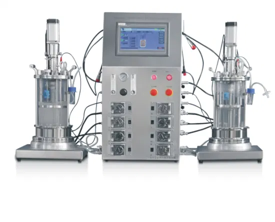 Fermentatore da laboratorio Bioreactor De Microorganismos con basso tasso di guasto, elevata affidabilità e servizio conveniente